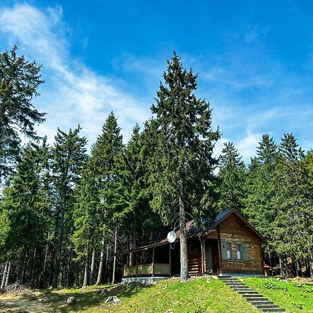 Natura Haziko Villa Izvoare  Exterior photo