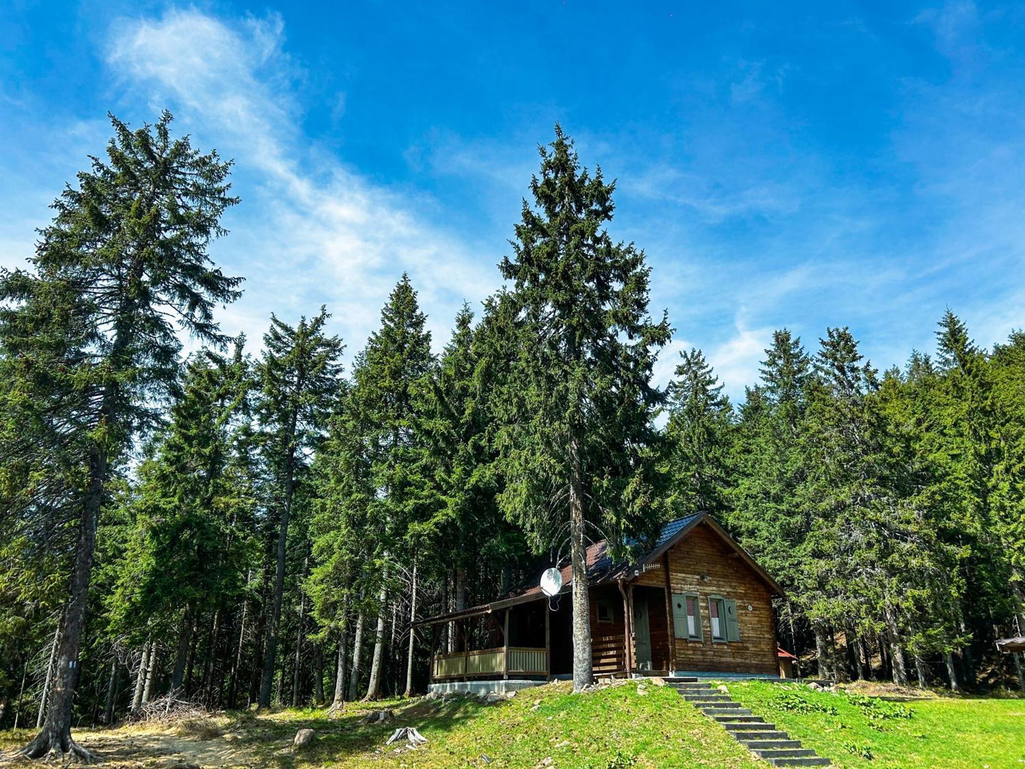 Natura Haziko Villa Izvoare  Exterior photo