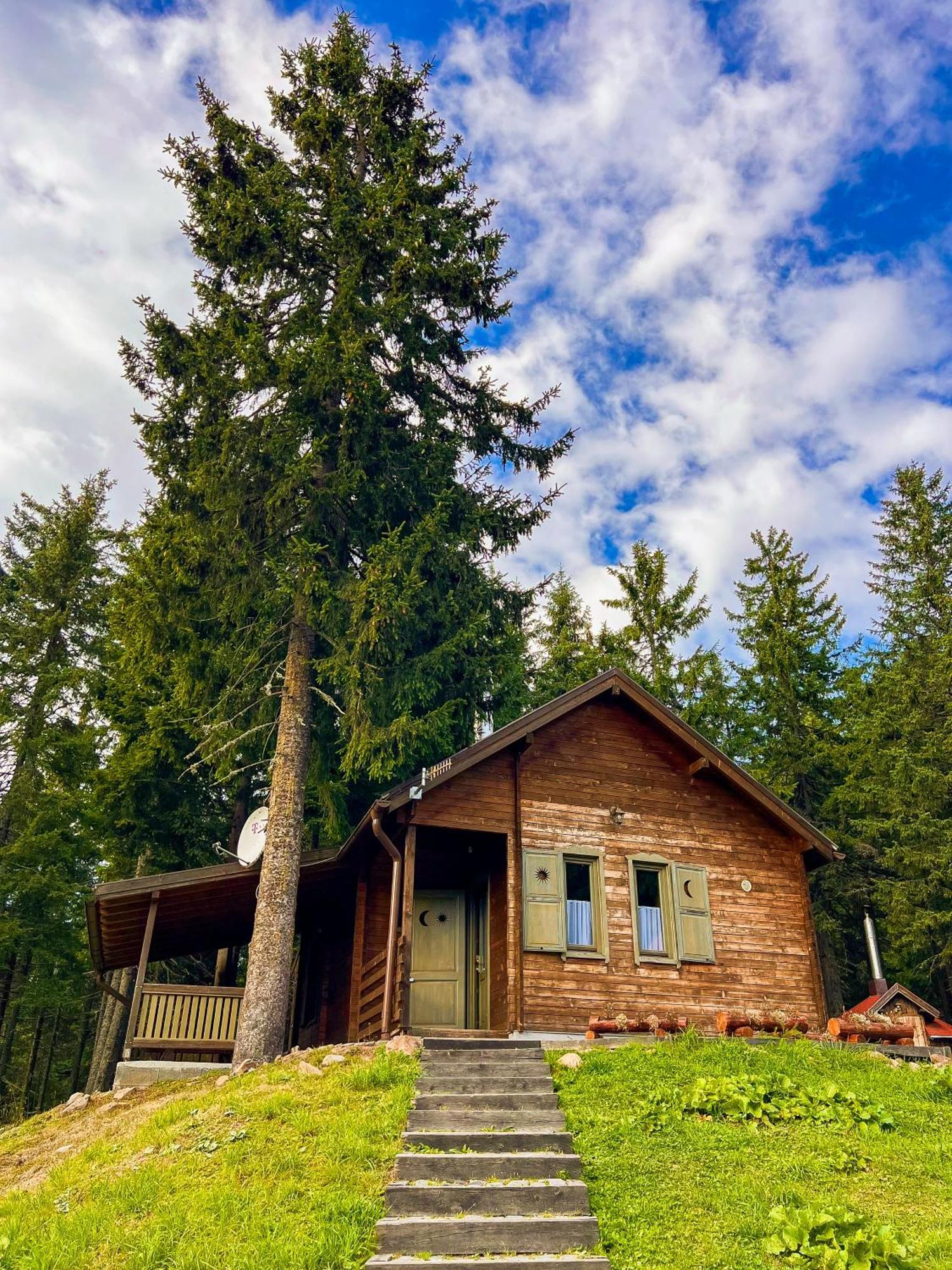 Natura Haziko Villa Izvoare  Exterior photo